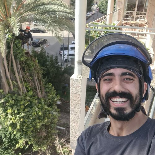 דור שאול - בעלים