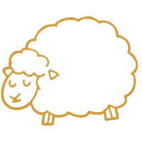 Untitled design (14)